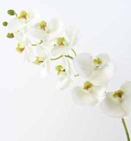 Fleur à la tige Orchidée artificielle Phalaenopsis - haute qualité - H.77 cm