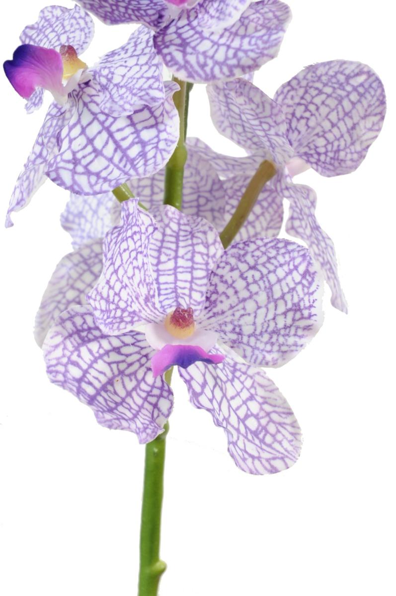 Fleur artificielle Orchidée Vanda feuillage - Fresh Touch - H.60 cm violet  blanc
