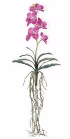 Fleur artificielle Orchidée Vanda feuillage et racines H.58cm fuchsia