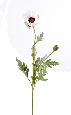 Fleur artificielle Pavot 1T 1B - fleur des champs - H.66cm blanc