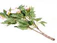 Fleur artificielle Pivoine 6 Fleurs- plante fleurie en piquet - H.60cm rose