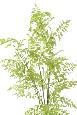 Fougère artificielle socle mousse - plante d'intérieur - H.170cm vert