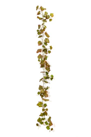 Guirlande artificielle de vigne automne 72 feuilles - intérieur - H.230cm vert rouge