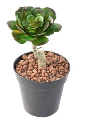 Mini plante artificielle Succulente ROND - cactus artificiel intérieur - H.15 cm