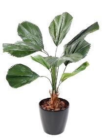 Palmier artificiel Licuala grandis - plante artificielle d'intérieur - H.120cm vert