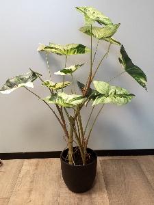 Plante artificielle Alocasia en pot - plante d'intérieur - H.75cm vert crème