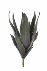 Plante artificielle Aloe vera en piquet - intérieur - H.57 cm vert