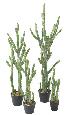Plante artificielle Cactus Finger F - Plante pour intérieur - H.140cm vert