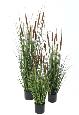 Plante artificielle Graminée Roseau Cattail en pot - décoration d'intérieur - H.90cm