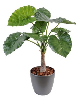 Plante artificielle tropicale Alocasia - décoration d'intérieur - H.80cm