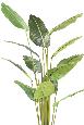 Plante tropicale artificielle Arbre du voyageur - plante intérieur - H.220cm
