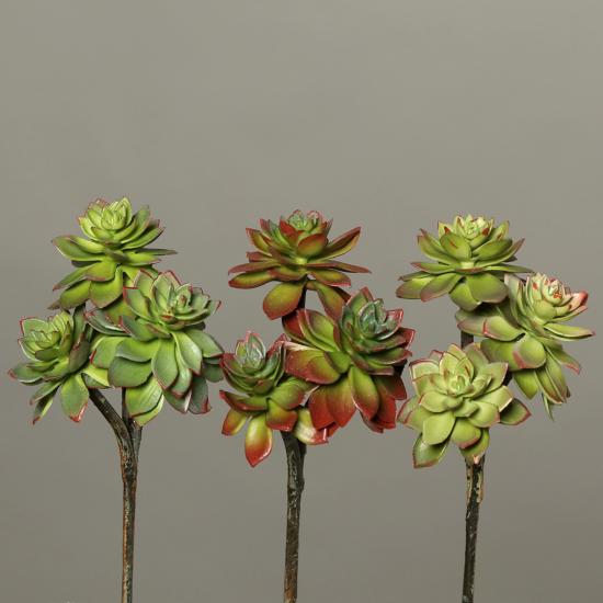Plantes artificielles 3 succulentes en piquet - cactus d'intérieur - H.21cm