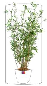 Bambou artificiel Oriental 11 cannes fines - plante d'intérieur - H.130cm