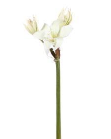 Amaryllis artificielle sauvage 1F 2B - composition florale - H.60cm blanc