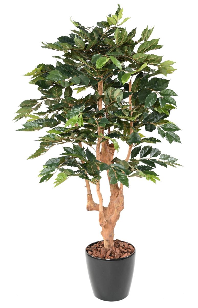 Arbre artificiel Caféier 5 branches - plante d'intérieur - H.180 cm vert