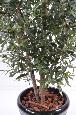 Arbre fruitier artificiel Olivier buisson et olives - plante pour intérieur - H.170 cm