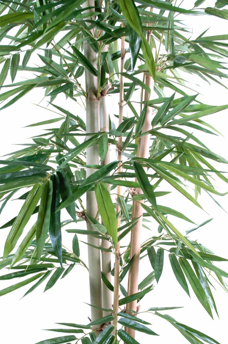  Bambou  artificiel 3 cannes feuille  large int rieur H 