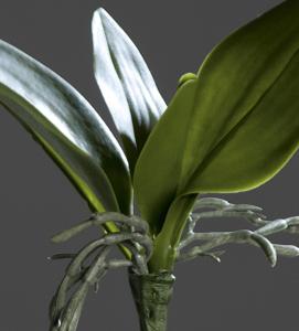 Feuillage artificiel Feuilles d'orchidée - plante en piquet - H.21cm vert