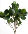 Feuillage artificiel Ficus panda - création composition florale - H.40 cm vert