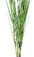 Feuillage artificiel tige XL de Graminée Carex Vulpina - décoration intérieure - H.240cm
