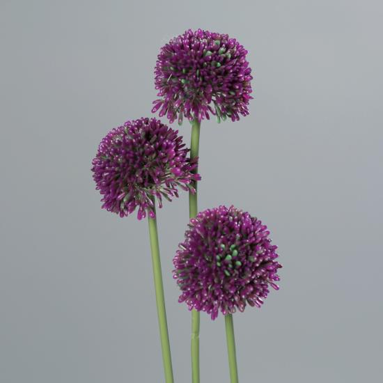 Fleur artificielle Allium ail d'ornement set de 3 - composition bouquet - H.46cm pourpre