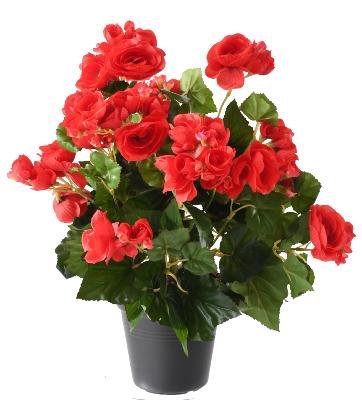 Fleurs artificielles Bégonia - plante en piquet - H.30cm rouge