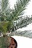 Palmier artificiel Cycas baby - intérieur extérieur - H.65cm vert