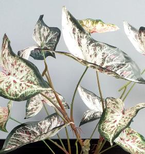 Plante artificielle Alocasia en pot - plante d'intérieur - H.75cm vert rouge
