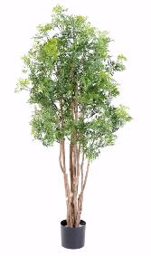 Plante artificielle Aralia Ming - intérieur extérieur - H.160cm vert