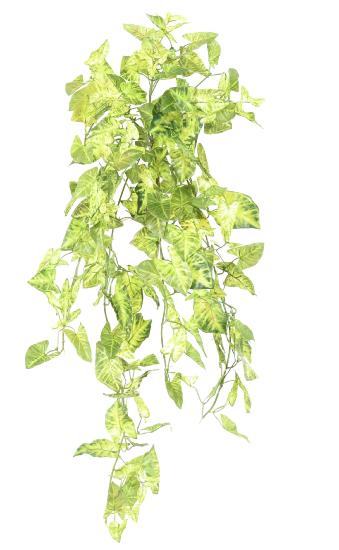 Plante artificielle Syngonium en piquet - décoration d'intérieur - H.80cm panaché