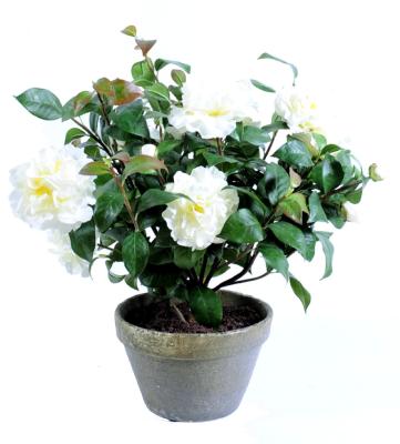 Plante artificielle fleurie Camélia en pot terre - 7 fleurs - H.56cm blanc