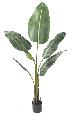 Plante tropicale artificielle Arbre du voyageur - plante intérieur - H.135cm