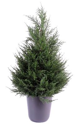 Plante artificielle Cypres artificiel (juniperus vert) - intérieur extérieur - H.65cm vert