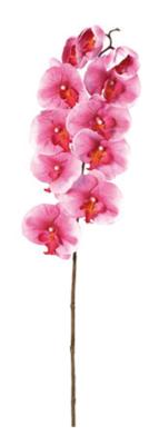 Fleur artificielle Orchidée phalaenopsis - fleur à tige - H.103 cm fuchsia
