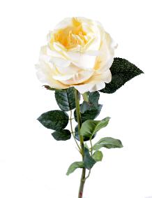 Fleur artificielle rose Anglaise - décoration d'intérieur - H.80 cm crème