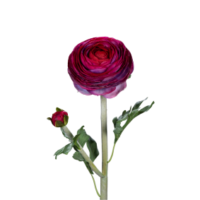 Fleur artificielle tige de Renoncule - création de bouquet - H.57cm pourpre