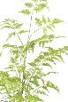 Fougère artificielle socle mousse - plante d'intérieur - H.95cm vert