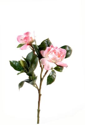 Gardenia artificielle fleur coupée - création florale intérieur - H.65cm rose