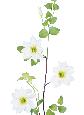 Guirlande artificielle Clématite 3 fleurs - décoration intérieure - H.107cm blanc