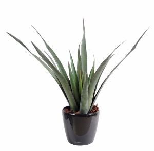 Plante artificielle Aloe Ferox en pot - cactus artificiel extérieur - H.65cm vert