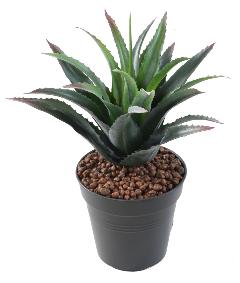 Plante artificielle Furcraea 21 feuilles - cactus artificiel intérieur - H.25cm vert