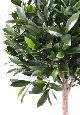 Plante artificielle Laurier tige UV résistant - intérieur extérieur - H.140cm vert