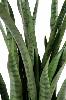 Plante artificielle Sansevieria 30 Feuilles - succulente pour intérieur - H. 110cm vert