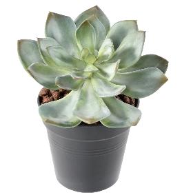 Mini plante artificielle Succulente - cactus artificiel intérieur - H.12cm