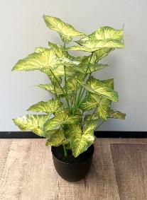 Plante artificielle Syngonium en pot - dcoration d'intrieur - H.50cm vert clair