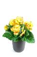 Plante artificielle fleurie Calcéolaire - Plante synthétique - H.30 cm jaune