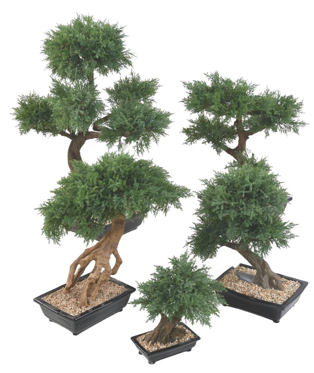 Arbre artificiel Bonsa   Juniperus en coupe plante  