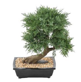 Bonsaï Juniperus artificiel en coupe - plante synthétique intérieur - H.55cm