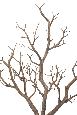 Branche artificielle imitation bois - décoration d'intérieur - H.65cm marron