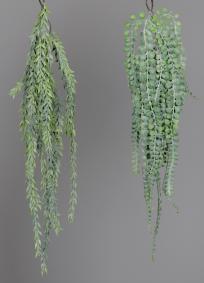 Feuillage artificiel chute de succulente Ruscus Callisia - assortiment de 2 plantes - H.60cm